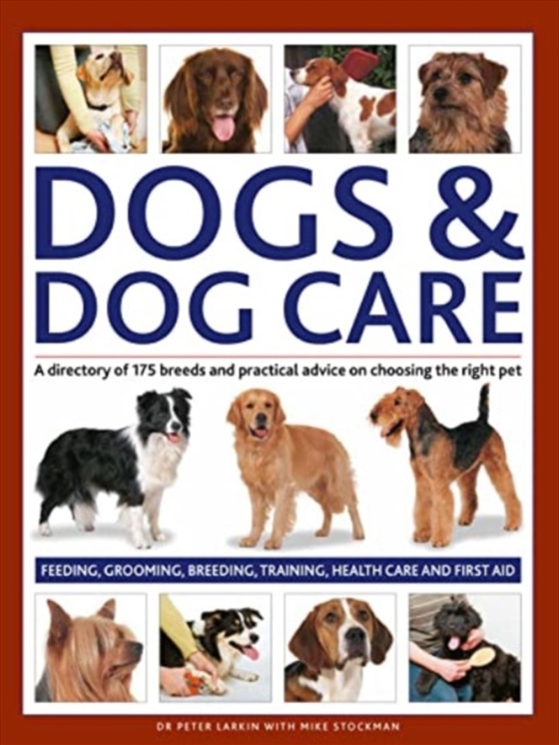 Dogs & Dog Care : A Directory Of 175 Breeds And Practical Advice On Choosing The Right Pet. Feeding,/Product Detail/Animals & Nature