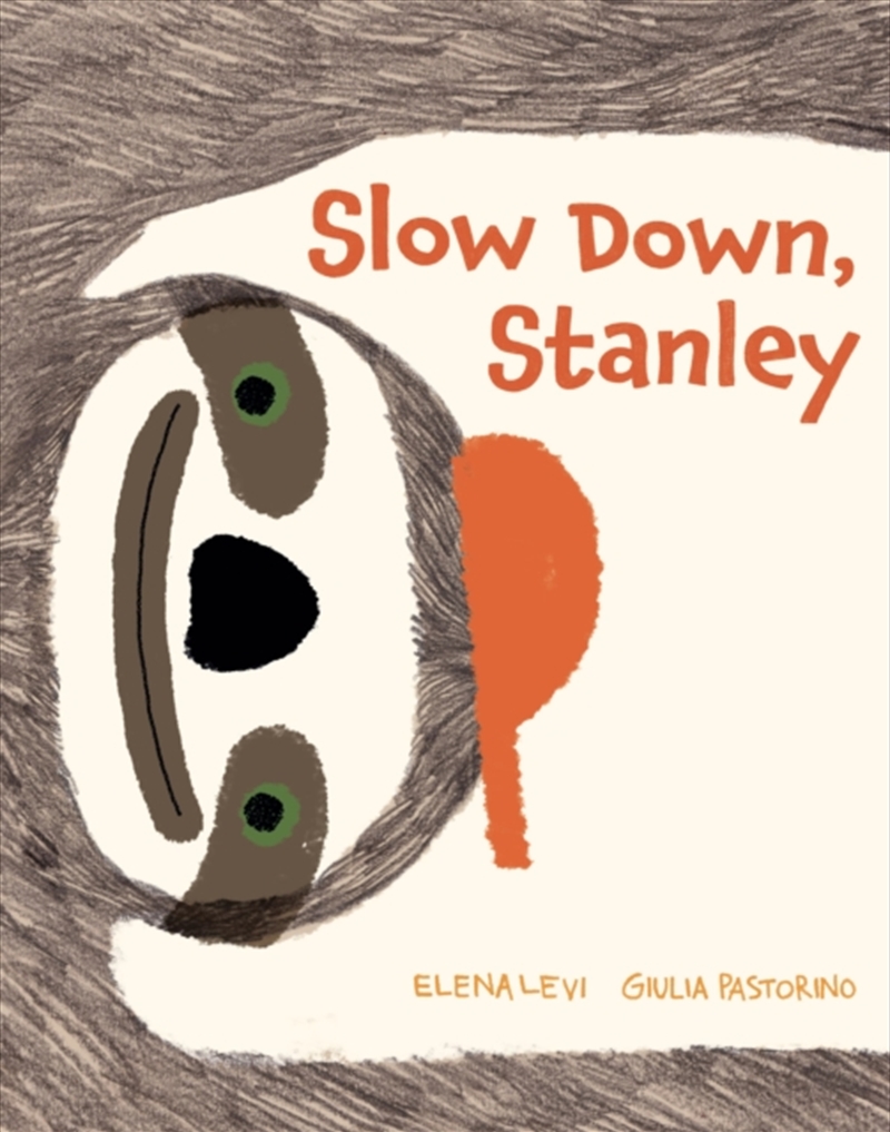 Slow Down, Stanley/Product Detail/Early Childhood Fiction Books