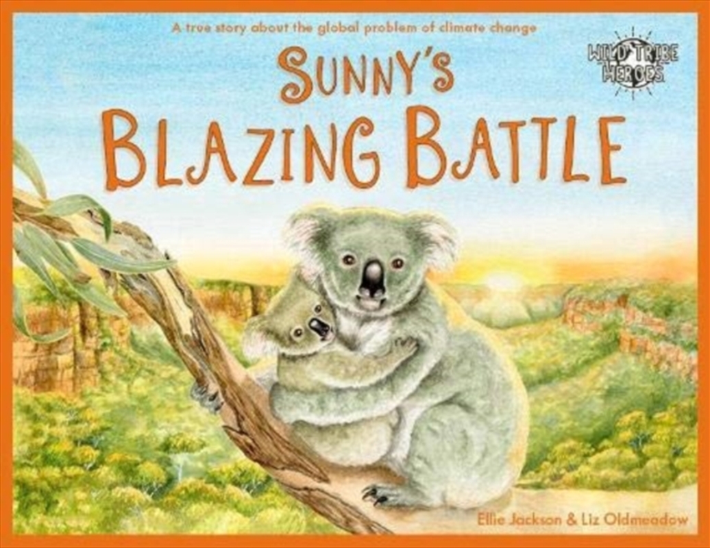 Sunny's Blazing Battle/Product Detail/Early Childhood Fiction Books