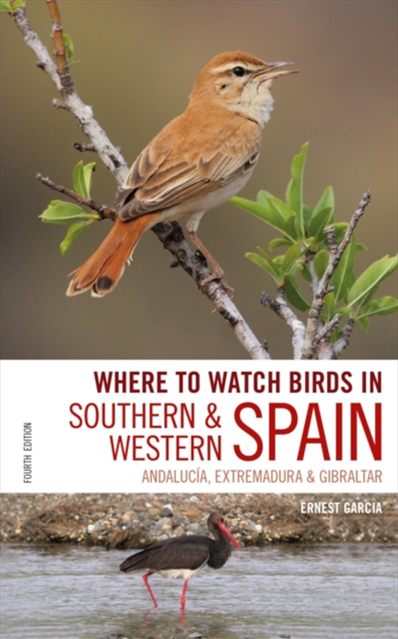 Where To Watch Birds In Southern And Western Spain : Andalucia, Extremadura And Gibraltar/Product Detail/Animals & Nature