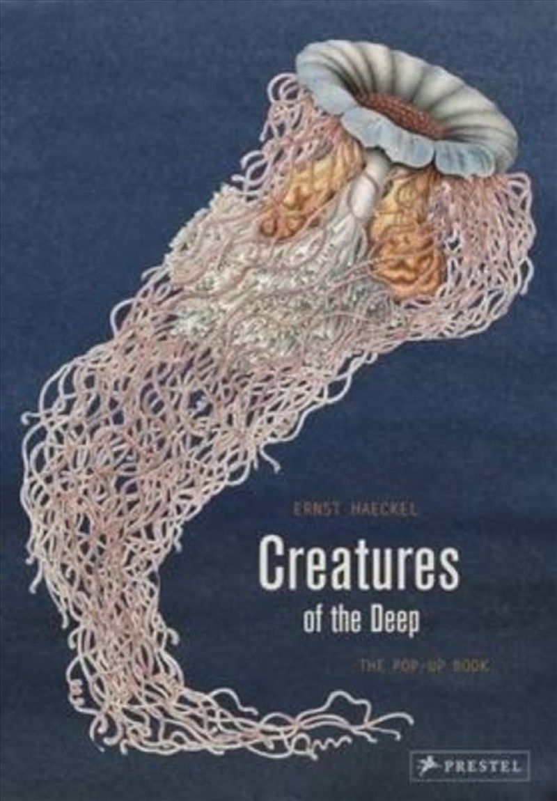 Creatures Of The Deep : The Pop-Up Book/Product Detail/Art