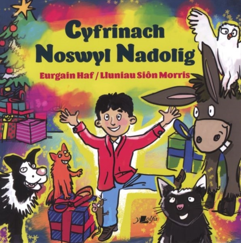 Cyfrinach Noswyl Nadolig/Product Detail/Early Childhood Fiction Books