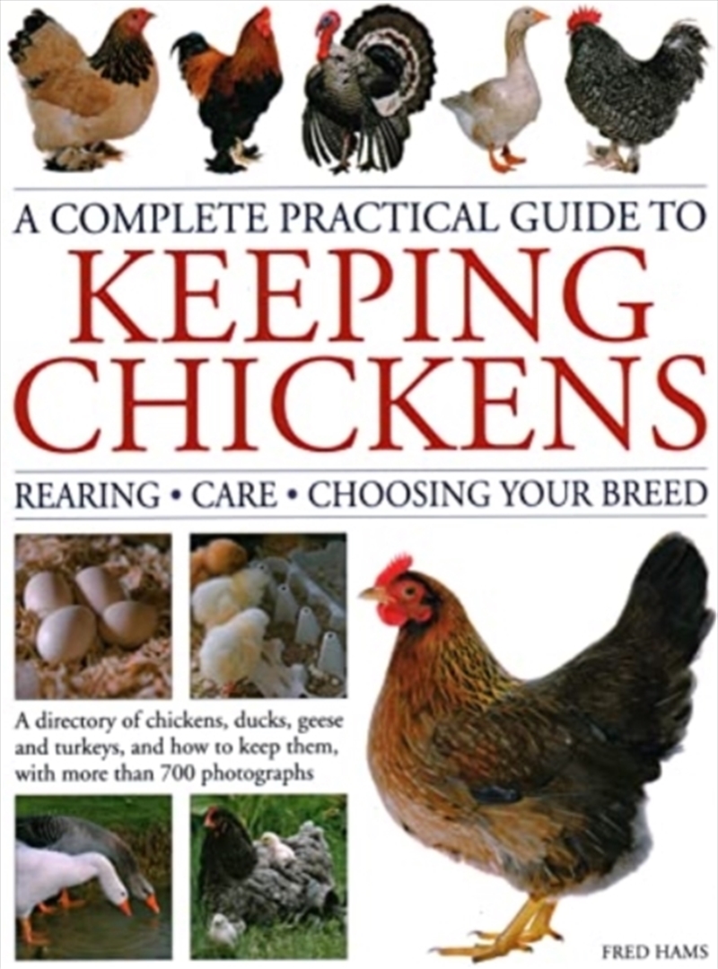Keeping Chickens, Complete Practical Guide To : Rearing; Care; Choosing Your Breed: A Directory Of C/Product Detail/Animals & Nature