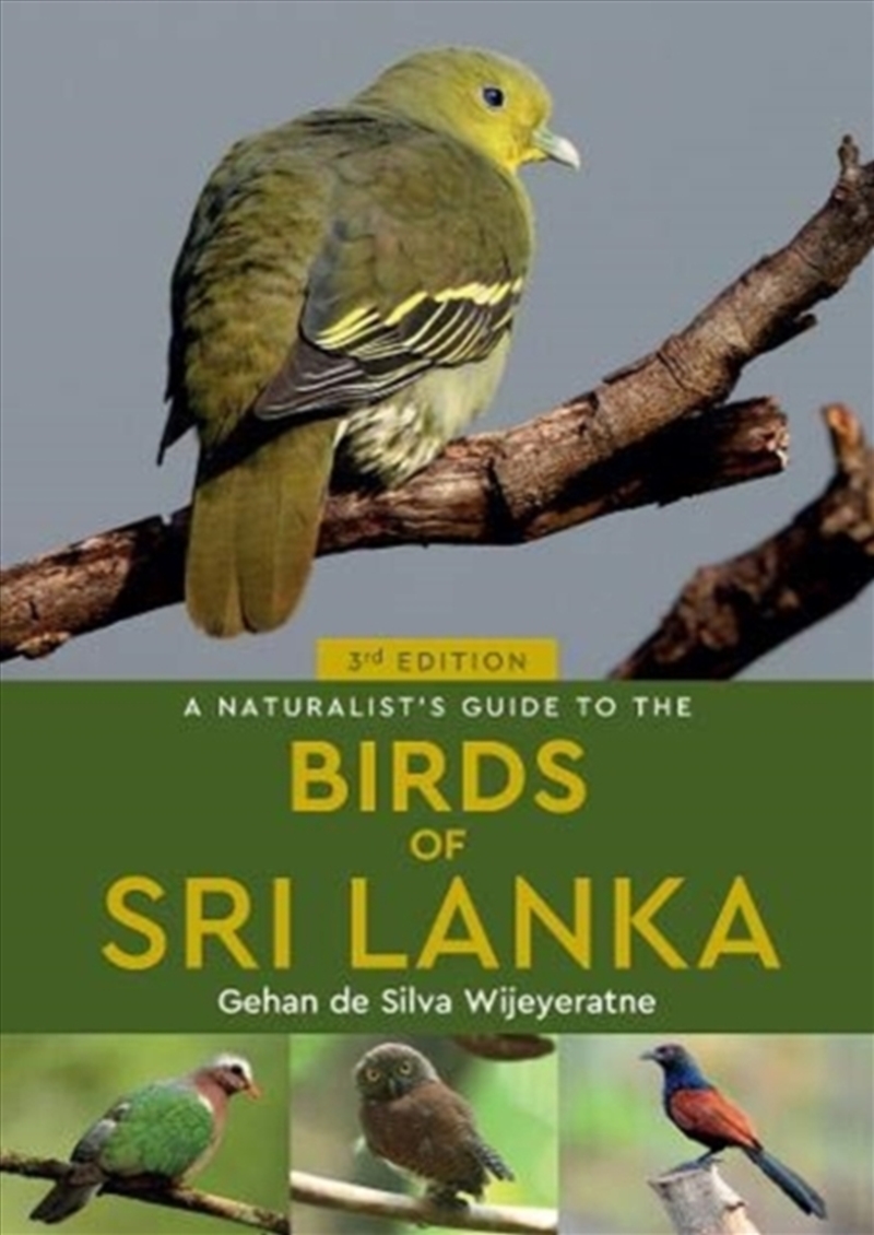 A Naturalist's Guide To The Birds Of Sri Lanka (3rd Edition)/Product Detail/Animals & Nature