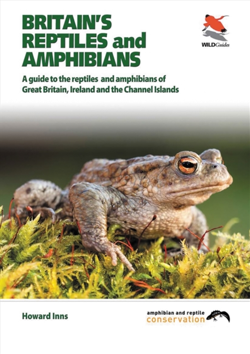 Britain`S Reptiles And Amphibians/Product Detail/Animals & Nature