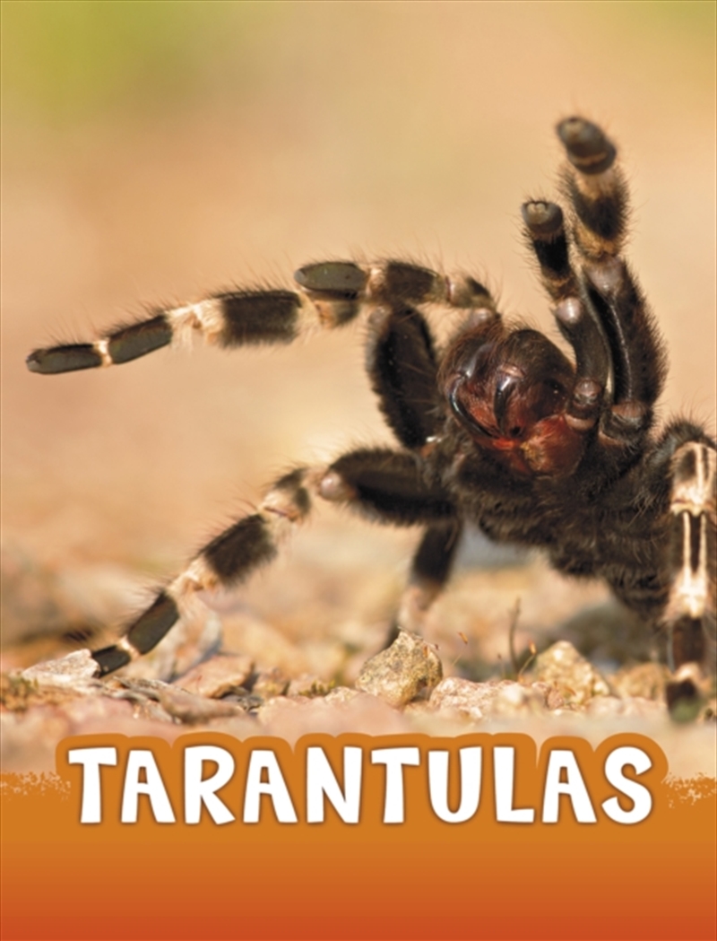 Tarantulas/Product Detail/Childrens