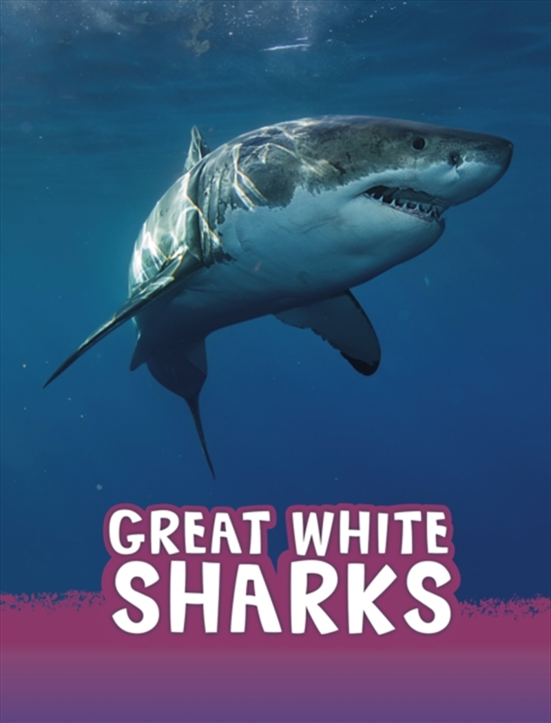 Great White Sharks/Product Detail/Childrens