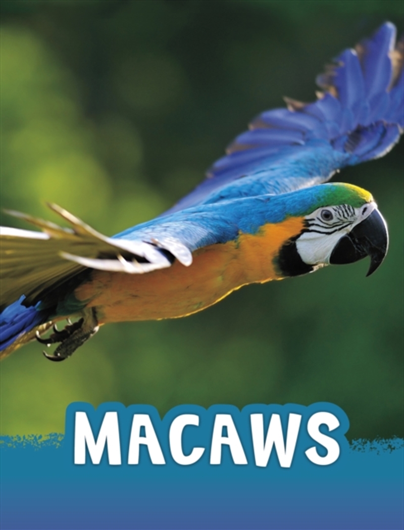 Macaws/Product Detail/Childrens