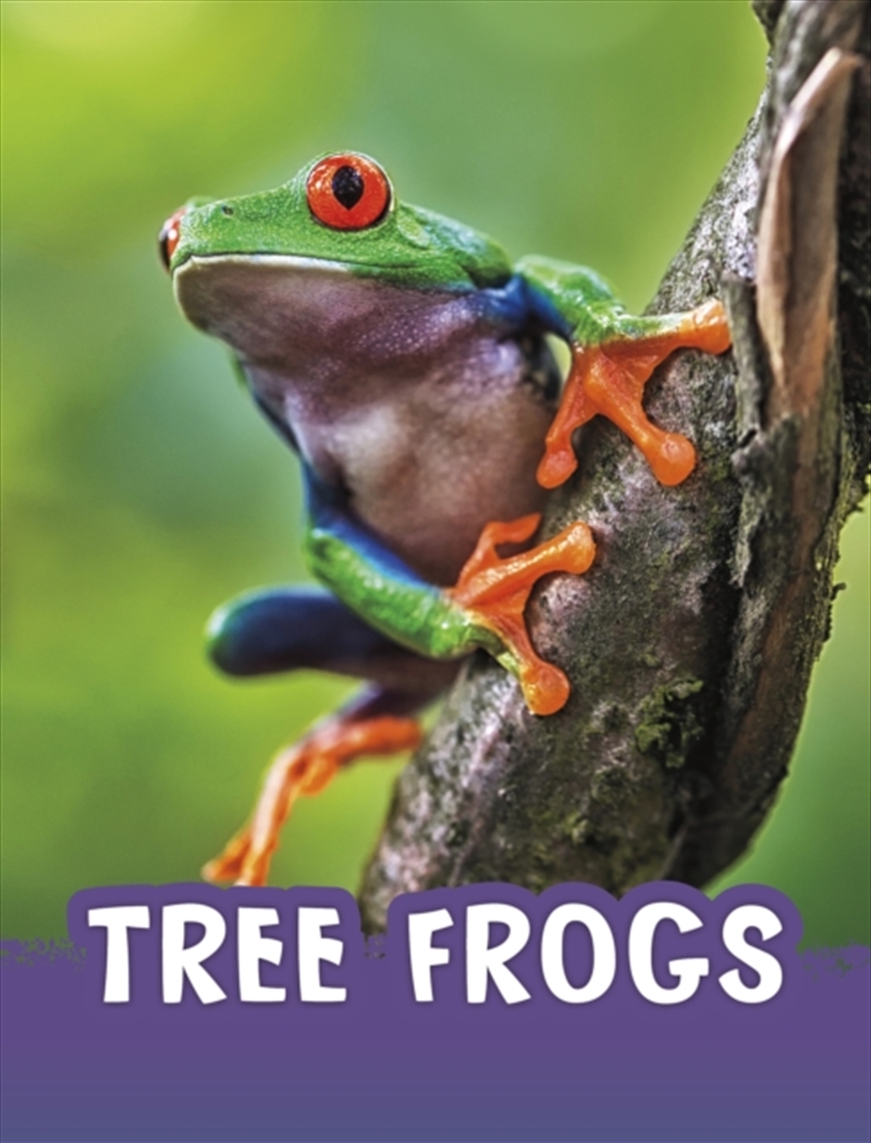 Tree Frogs/Product Detail/Childrens