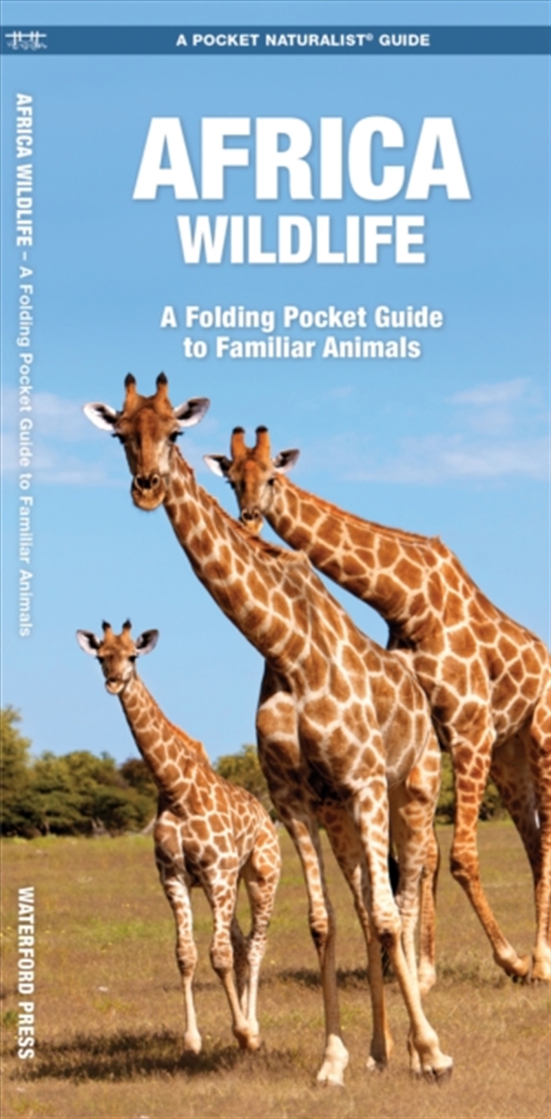 African Wildlife : A Folding Pocket Guide To Familiar Species/Product Detail/Animals & Nature