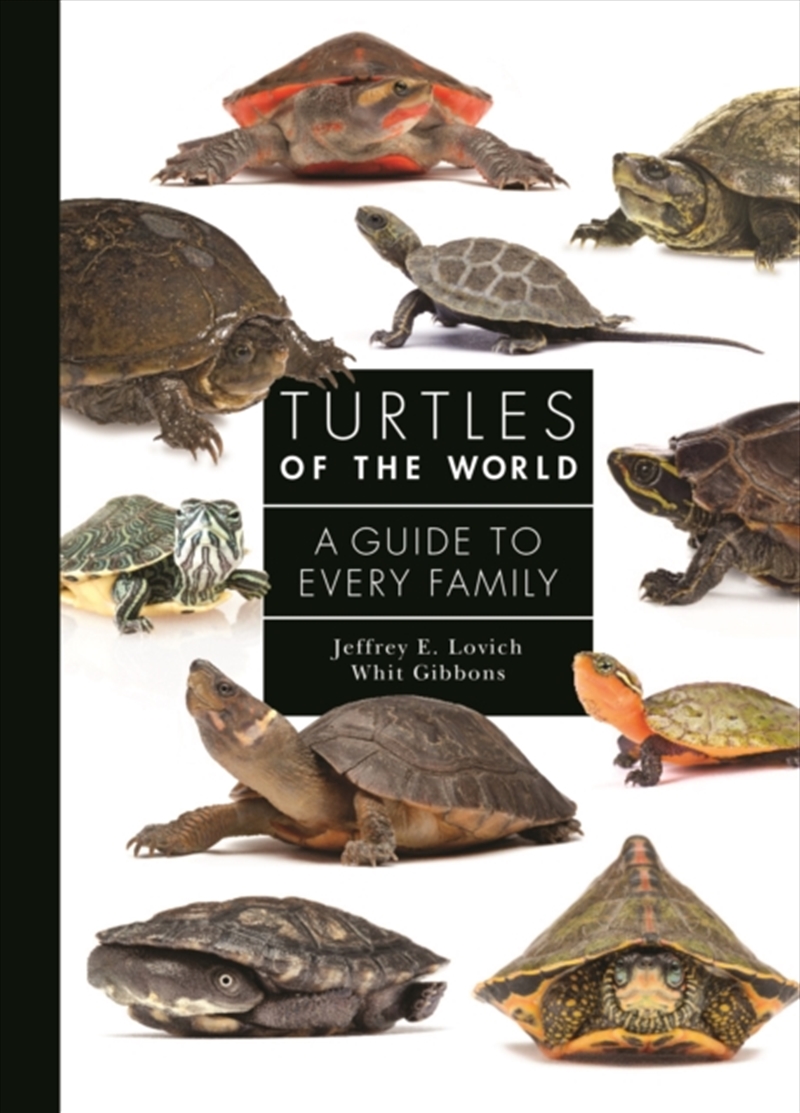 Turtles Of The World : A Guide To Every Family/Product Detail/Animals & Nature