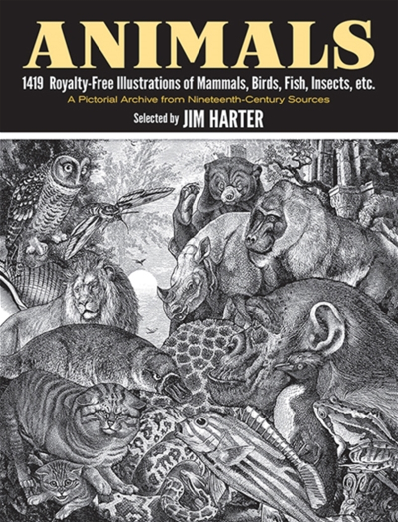 Animals : 1,419 Copyright-Free Illustrations Of Mammals, Birds, Fish, Insects, Etc/Product Detail/Art