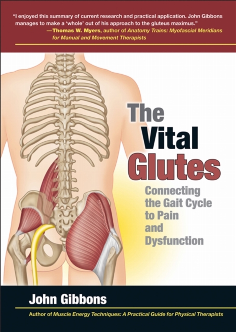 The Vital Glutes : Connecting The Gait Cycle To Pain And Dysfunction/Product Detail/Healthcare