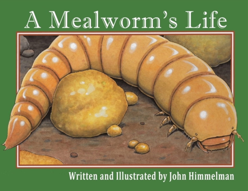 A Mealworm's Life/Product Detail/Animals & Nature