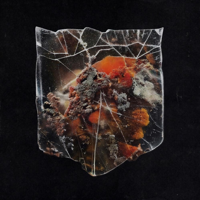Death & Connection - Splattered Milk/Black Orange Vinyl/Product Detail/Metal