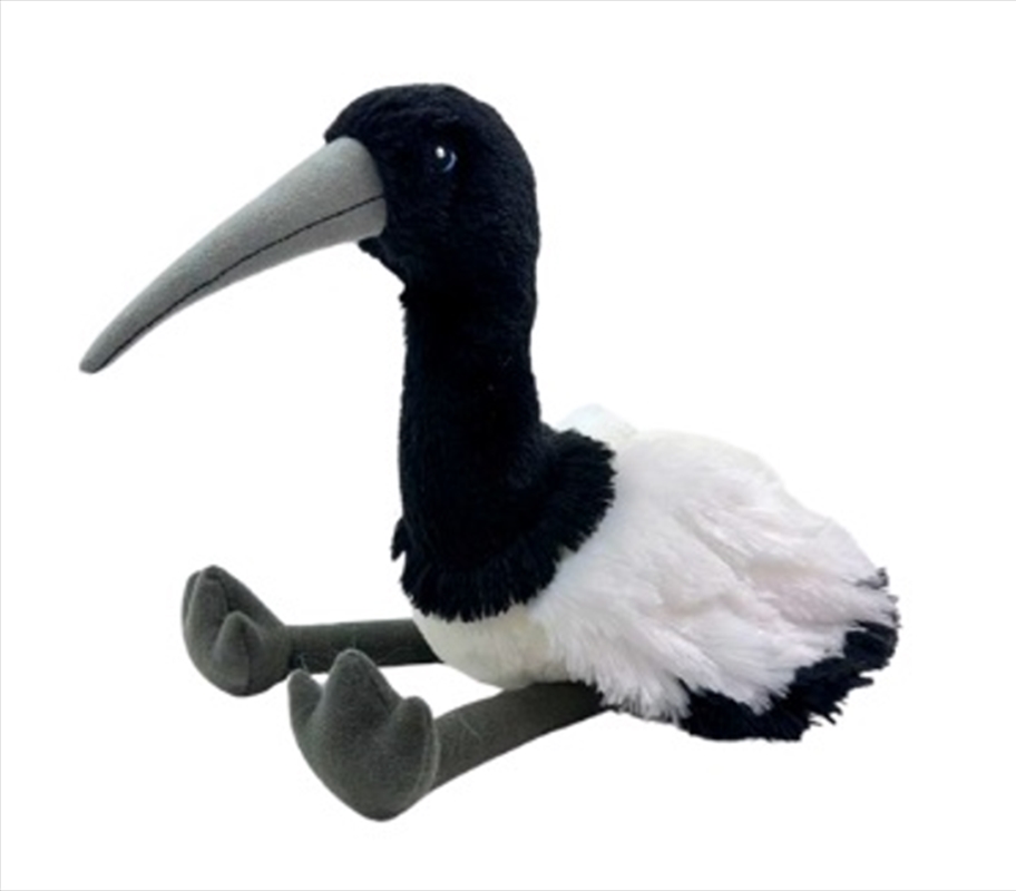 Bazza The Bin Chicken/Product Detail/Plush Toys