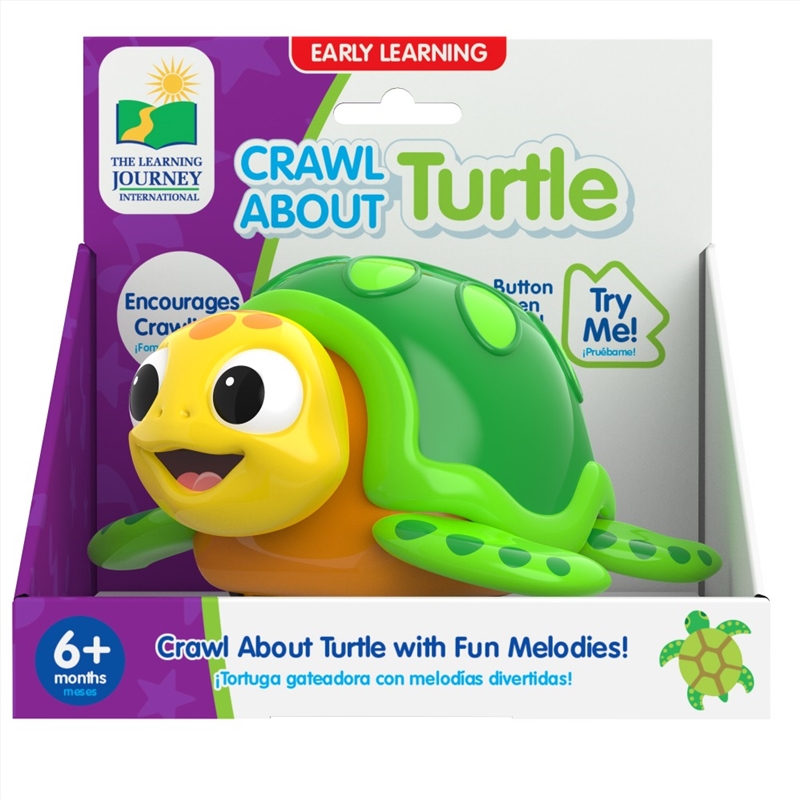 Crawl About Sea Turtle/Product Detail/Toys