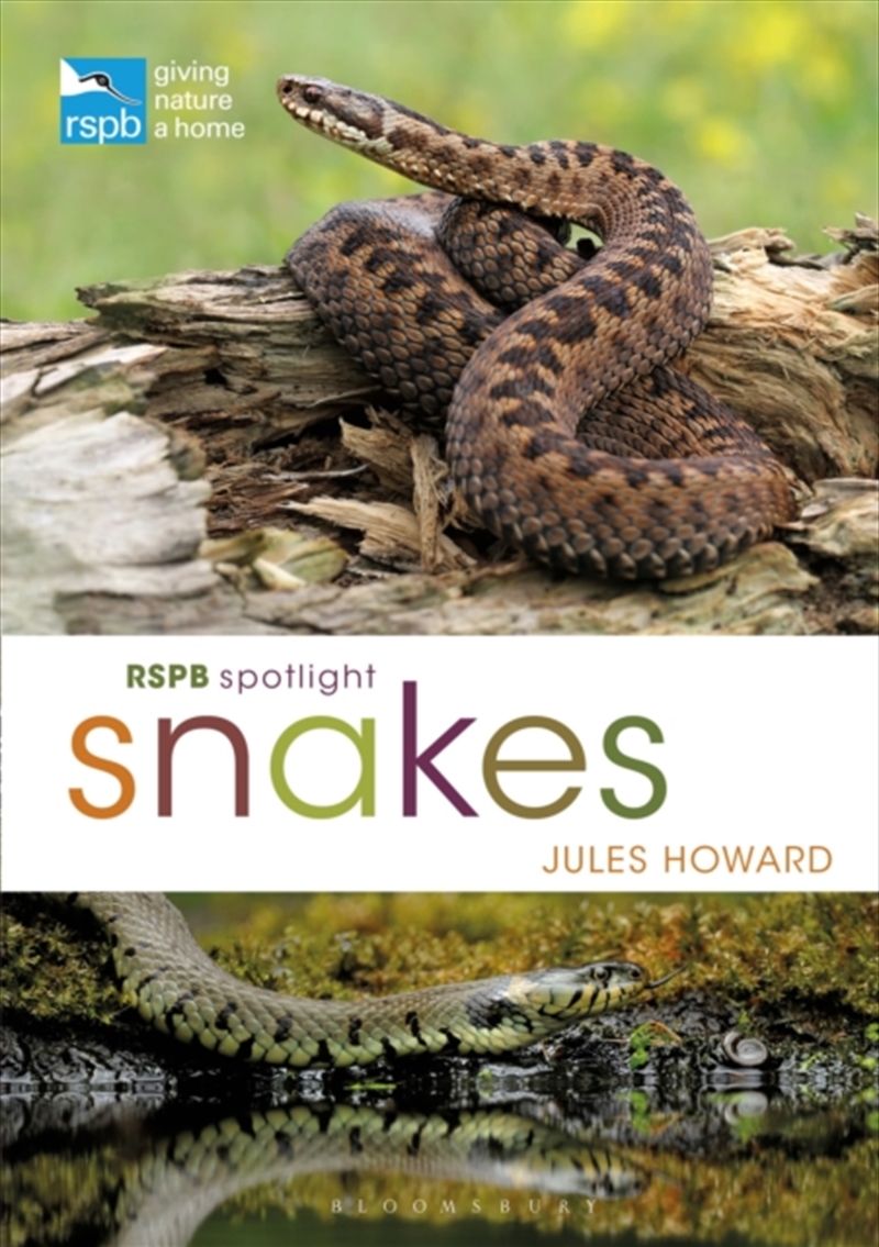 Rspb Spotlight Snakes/Product Detail/Animals & Nature