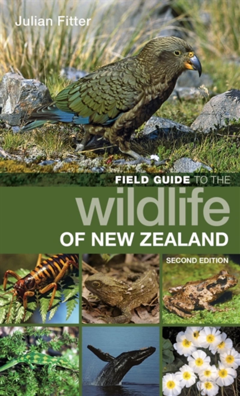 Field Guide To The Wildlife/Ne/Product Detail/Animals & Nature