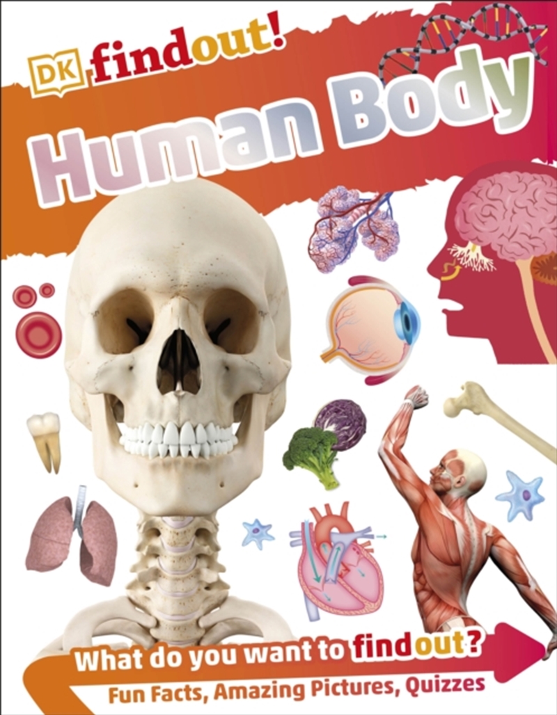 Human Body/Product Detail/Childrens