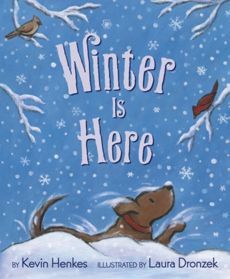 Winter Is Here/Product Detail/Early Childhood Fiction Books