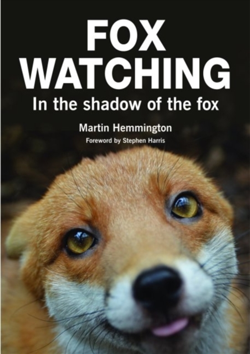 Fox Watching/Product Detail/Animals & Nature
