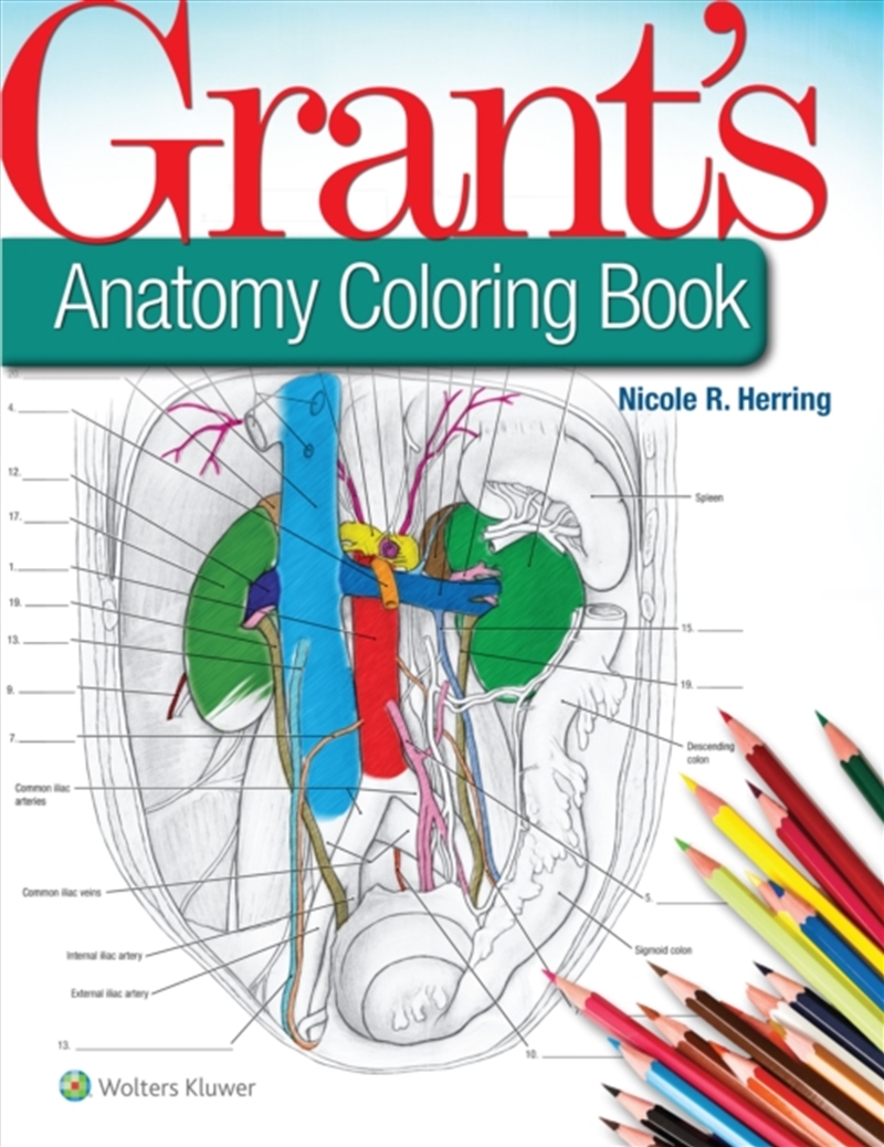 Grants Anatomy Coloring Book/Product Detail/Adults Colouring
