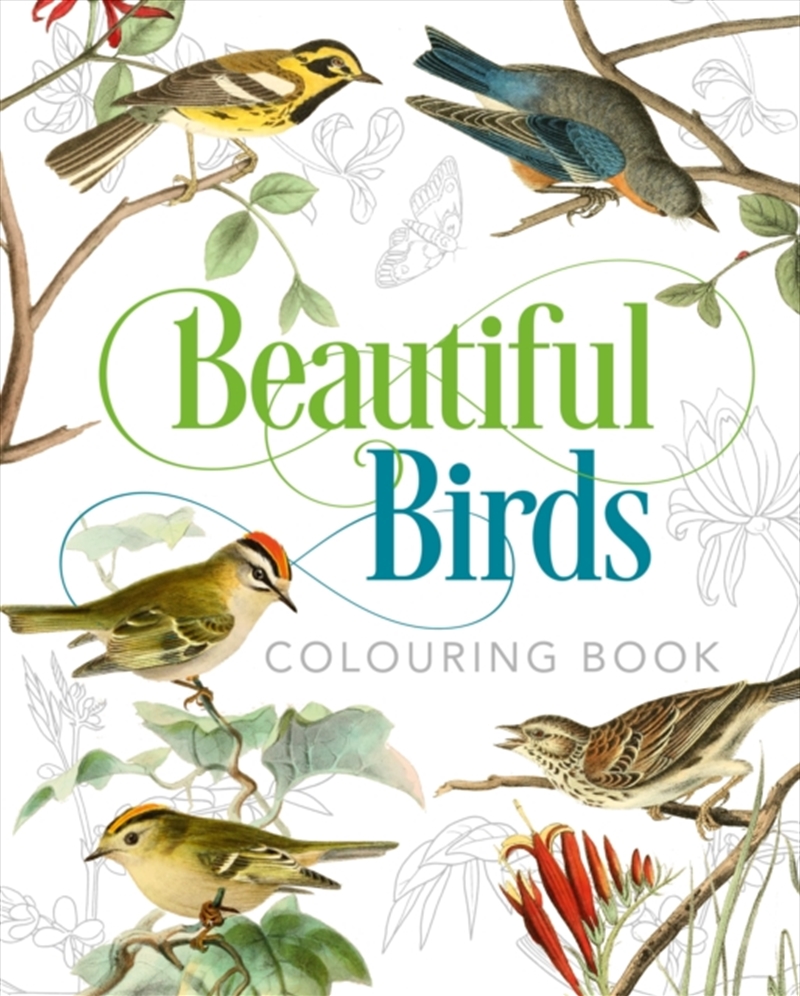 Beautiful Birds Colouring Book/Product Detail/Adults Colouring