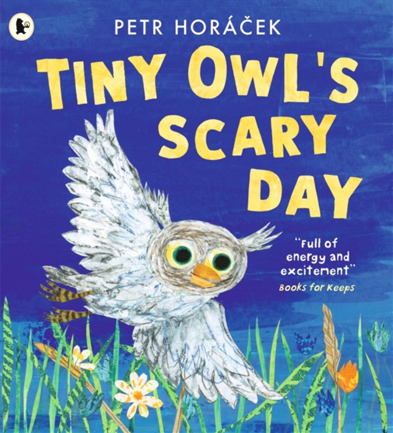 Tiny Owls Scary Day/Product Detail/Early Childhood Fiction Books
