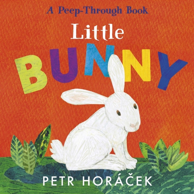 Little Bunny/Product Detail/Early Childhood Fiction Books