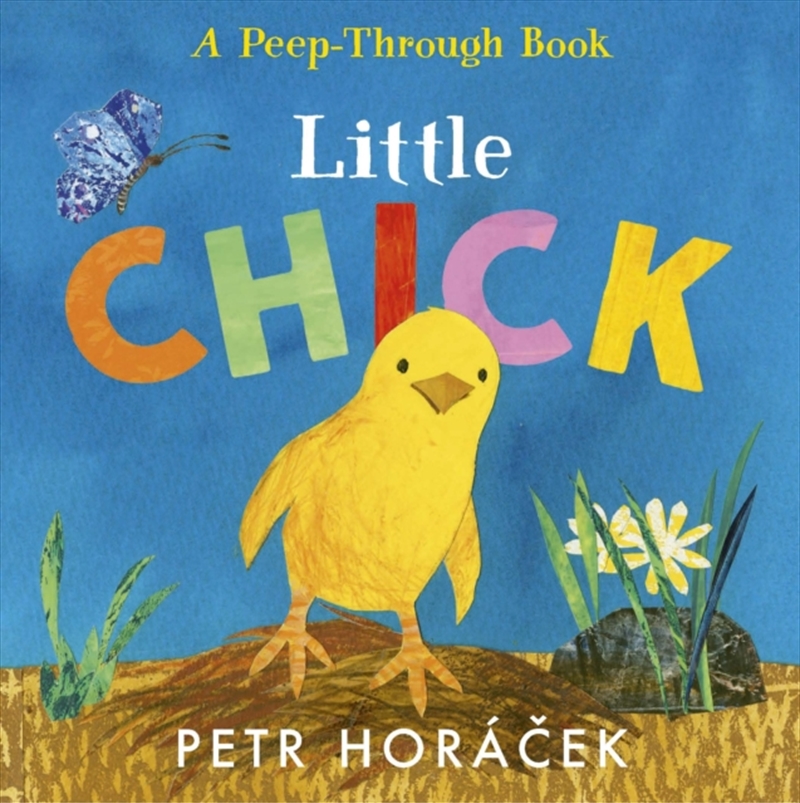 Little Chick/Product Detail/Early Childhood Fiction Books