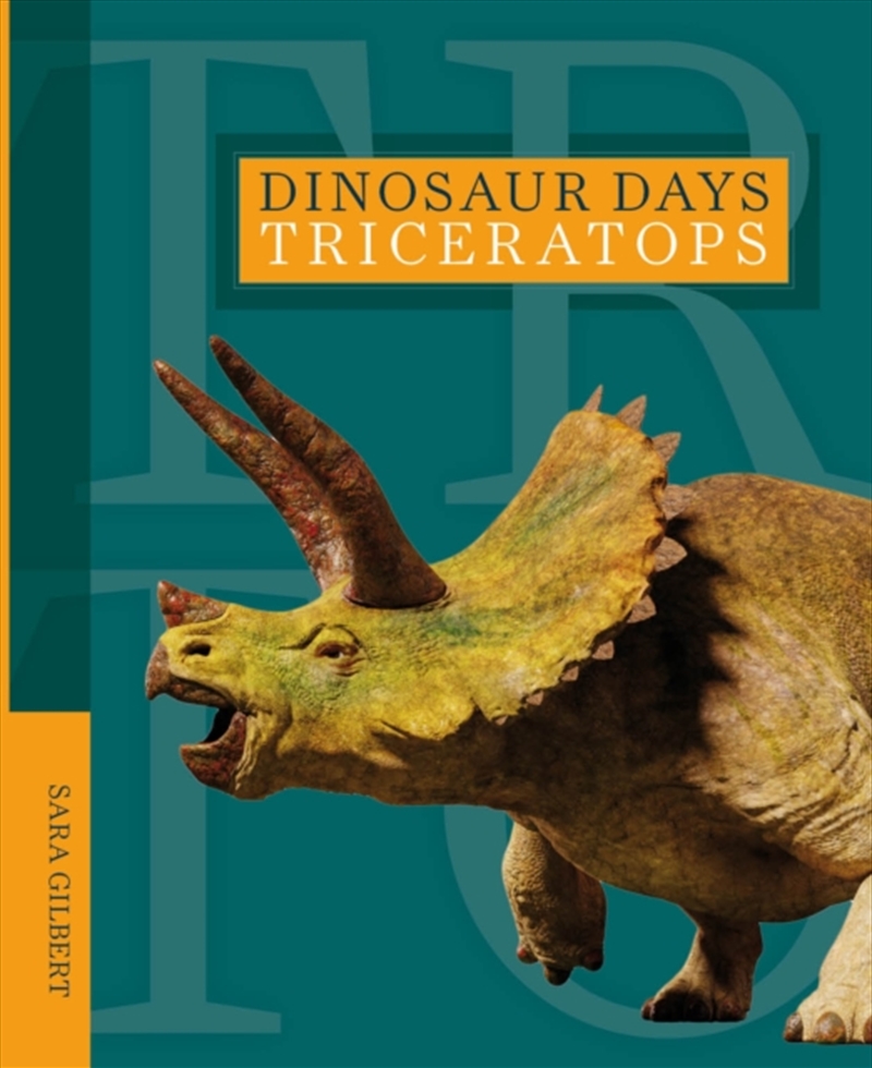 Triceratops/Product Detail/Childrens