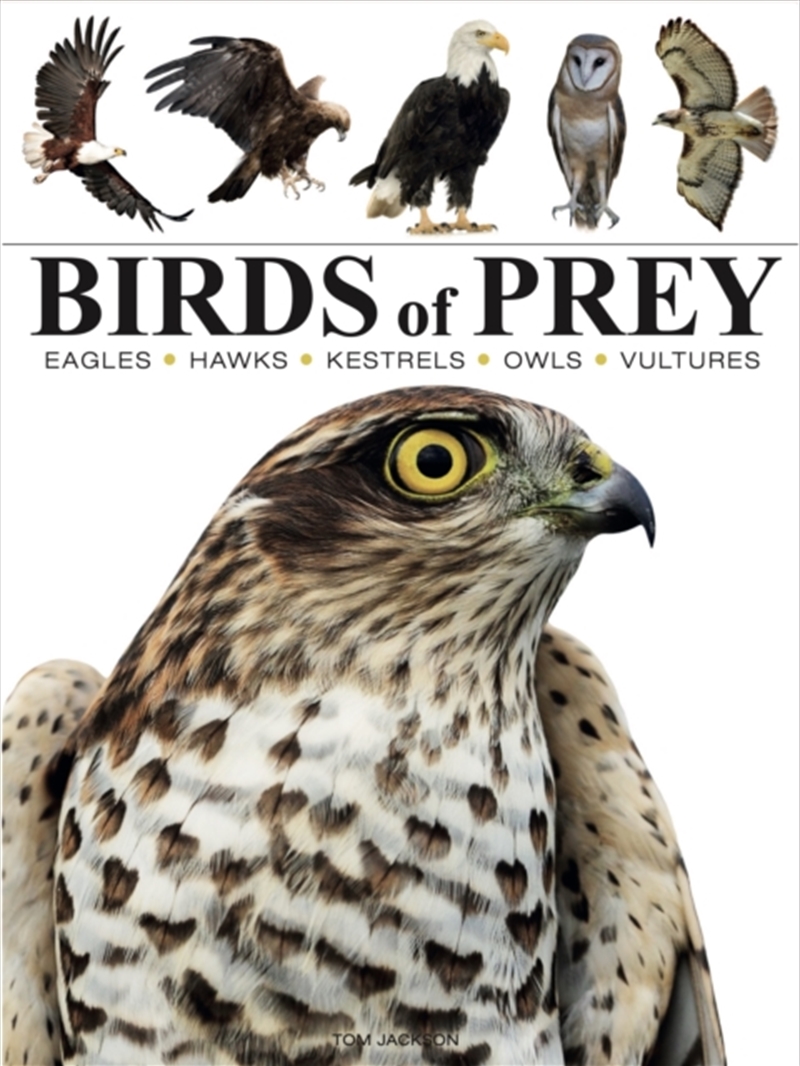 Birds Of Prey/Product Detail/Animals & Nature