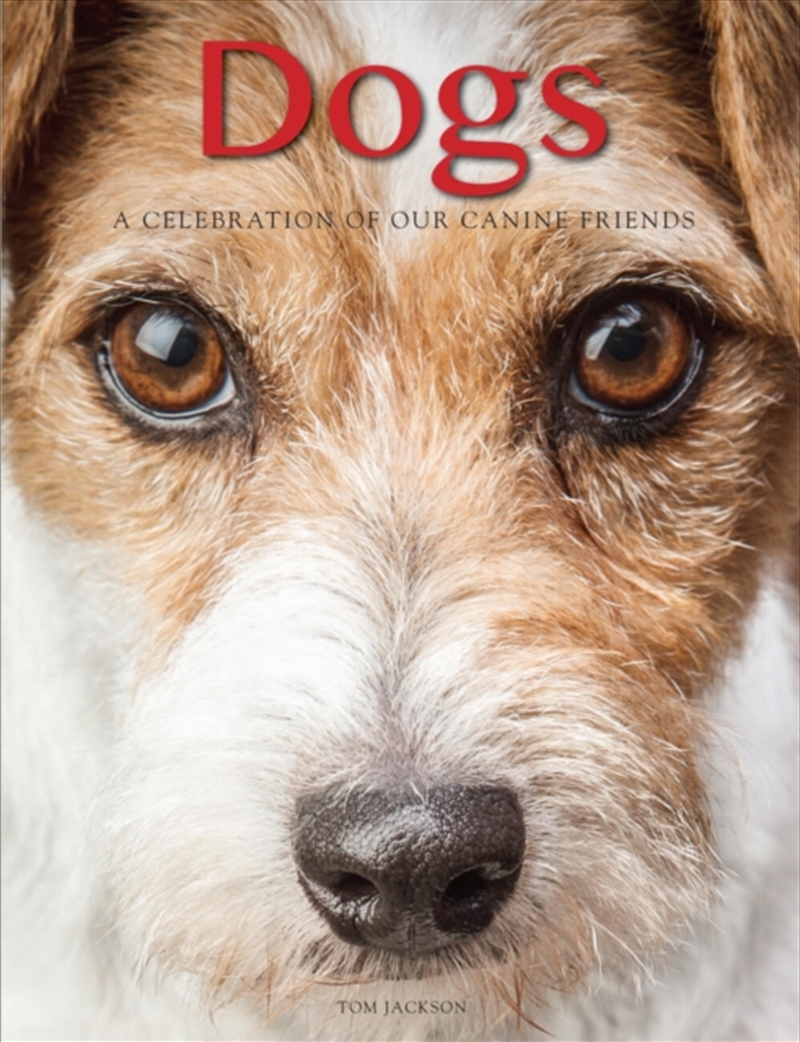 Dogs/Product Detail/Animals & Nature