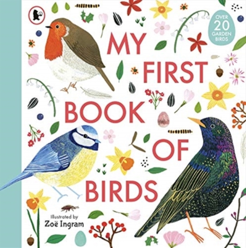 My First Book Of Birds/Product Detail/Childrens