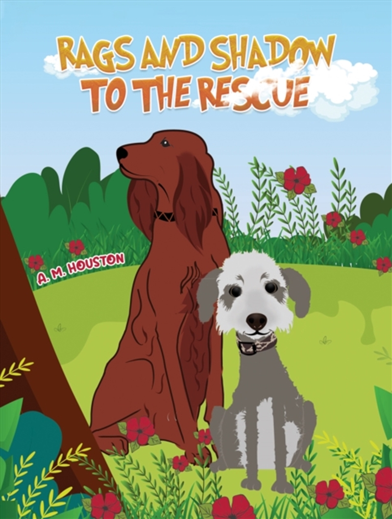 Rags & Shadow To The Rescue/Product Detail/Childrens Fiction Books