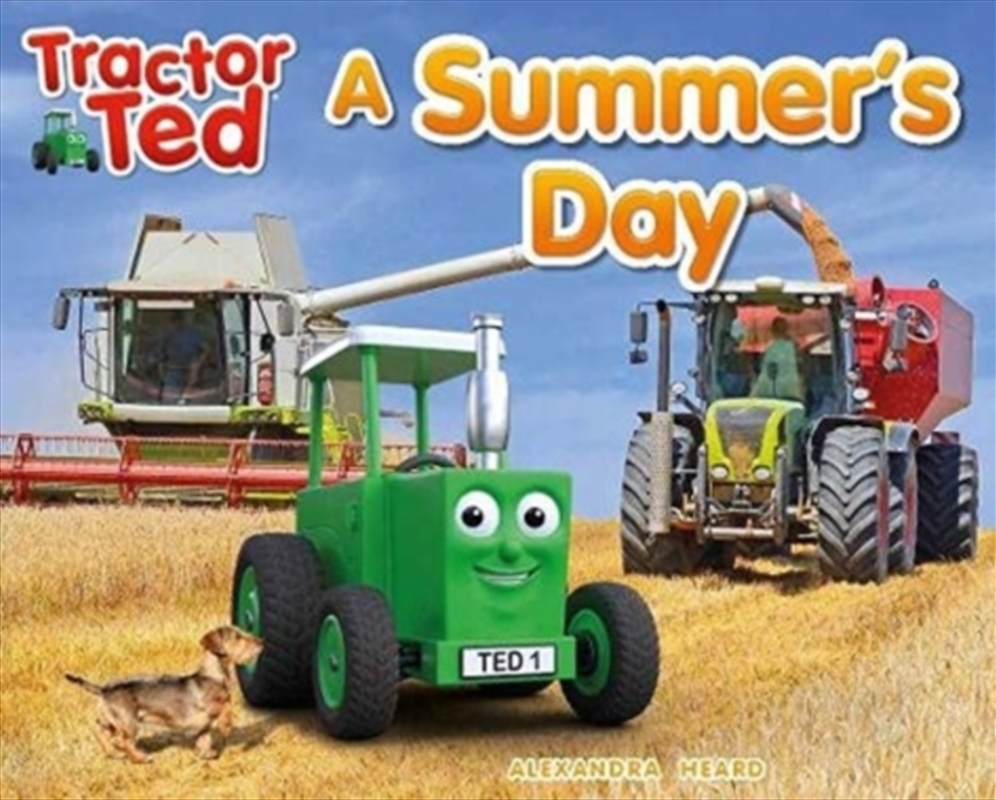 A Summers Day/Product Detail/Early Childhood Fiction Books