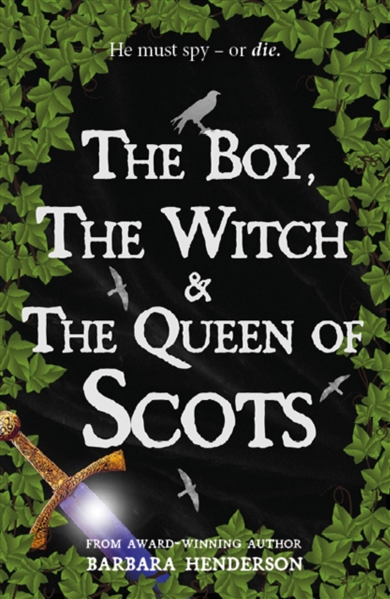 Boy The Witch The Queen Of Sco/Product Detail/Childrens Fiction Books