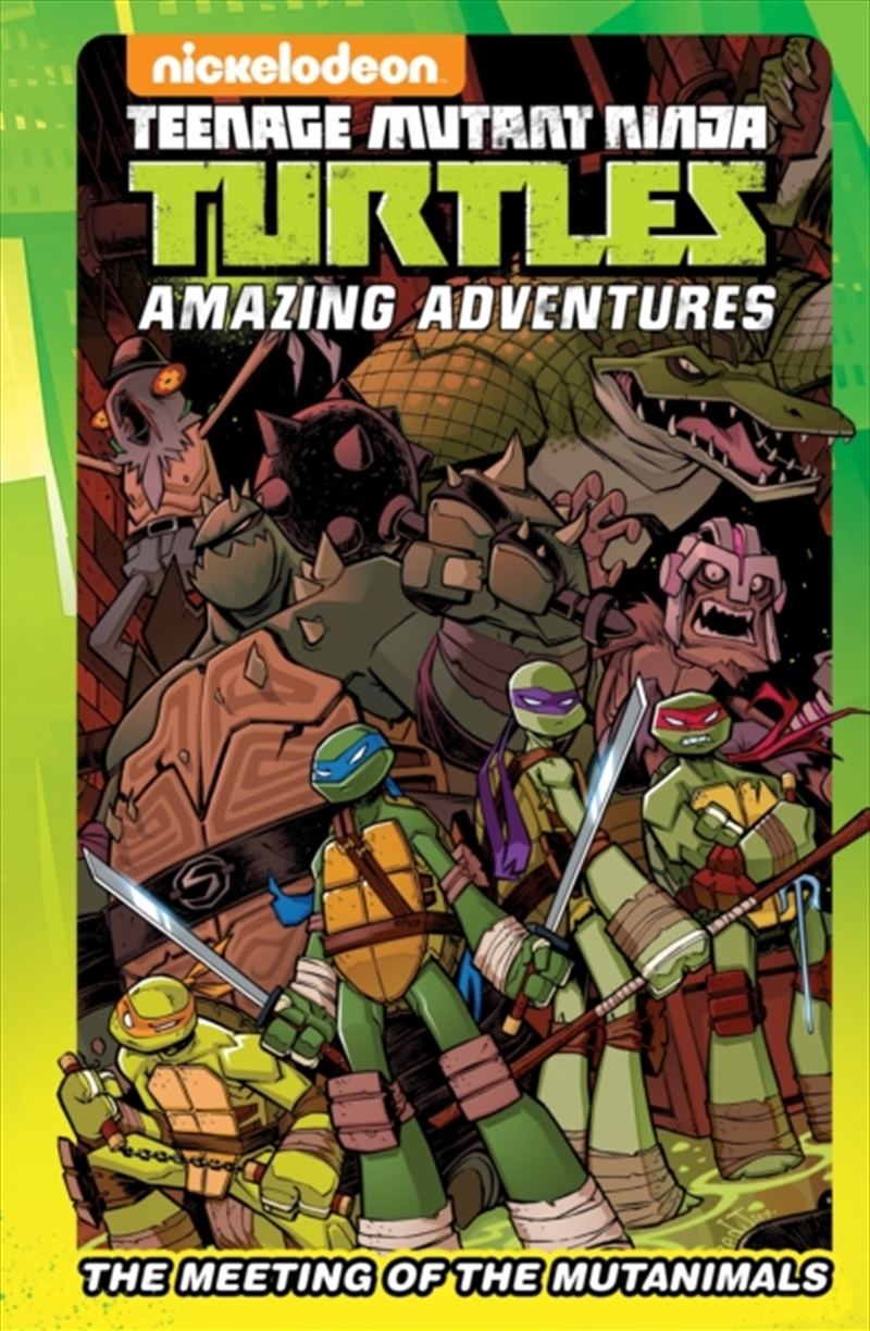 Teenage Mutant Ninja Turtles T/Product Detail/Childrens Fiction Books