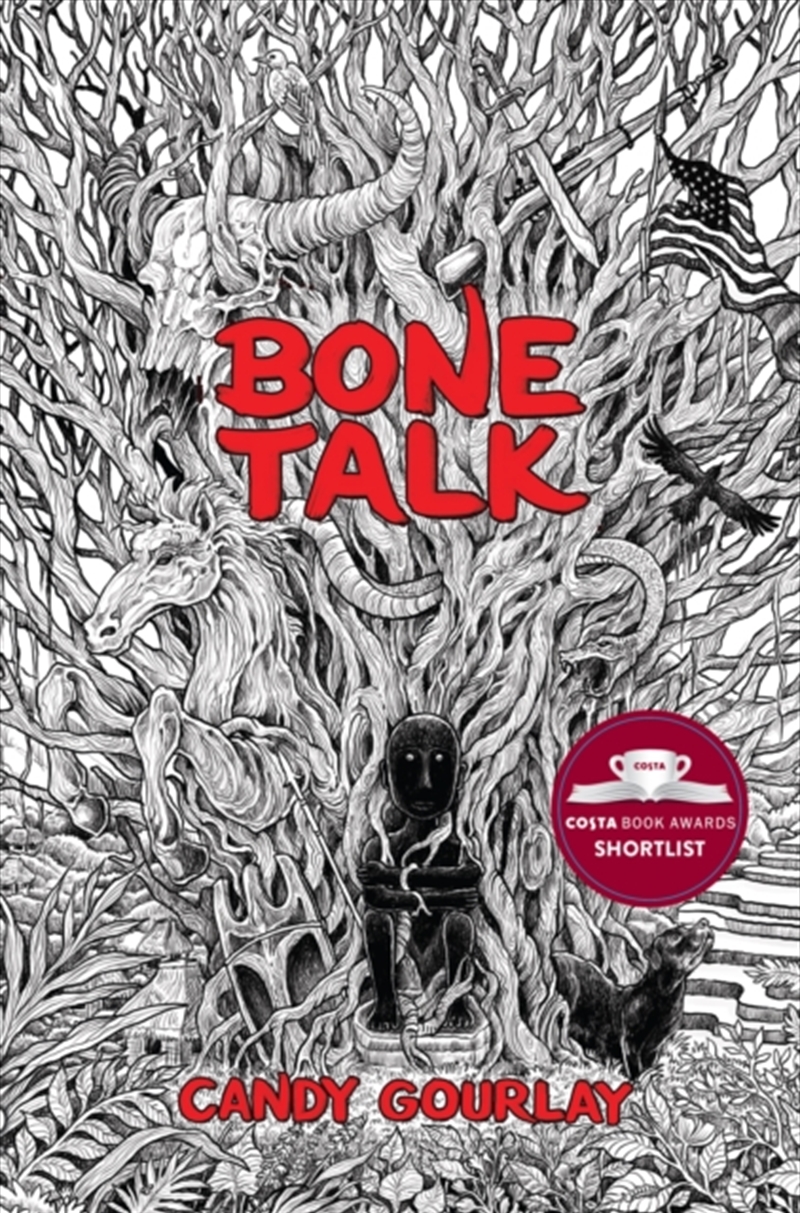 Bone Talk/Product Detail/Young Adult Fiction