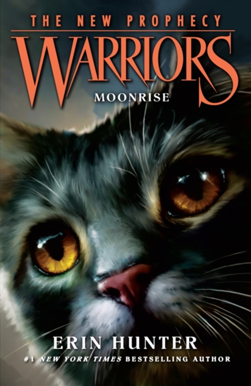 Moonrise/Product Detail/Childrens Fiction Books