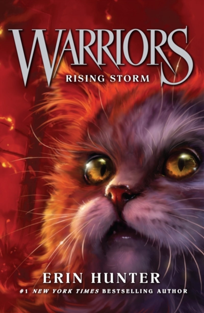 Rising Storm/Product Detail/Childrens Fiction Books