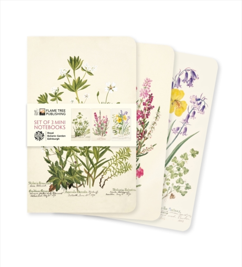 Royal Botanic/Set Of 3 Mini No/Product Detail/Notebooks & Journals