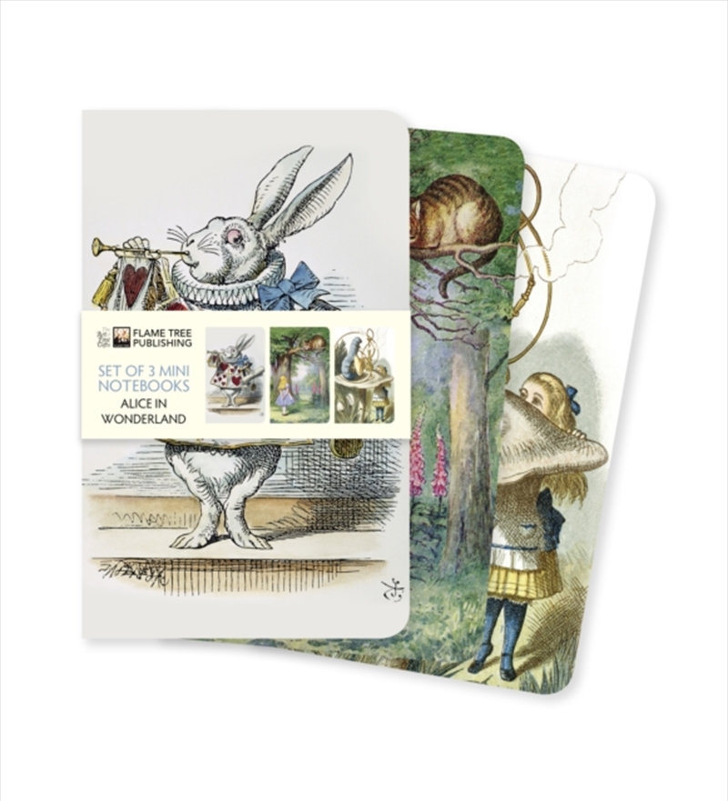 Mini Notebook Set Alice In Won/Product Detail/Notebooks & Journals