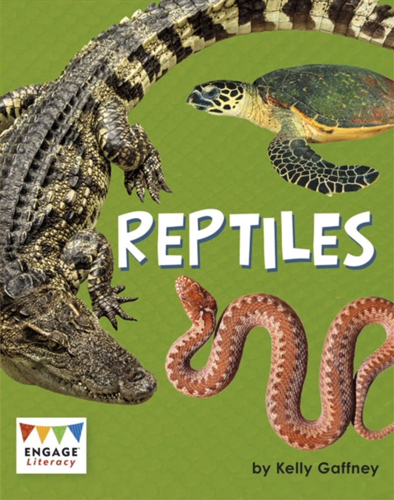 Reptiles/Product Detail/Animals & Nature