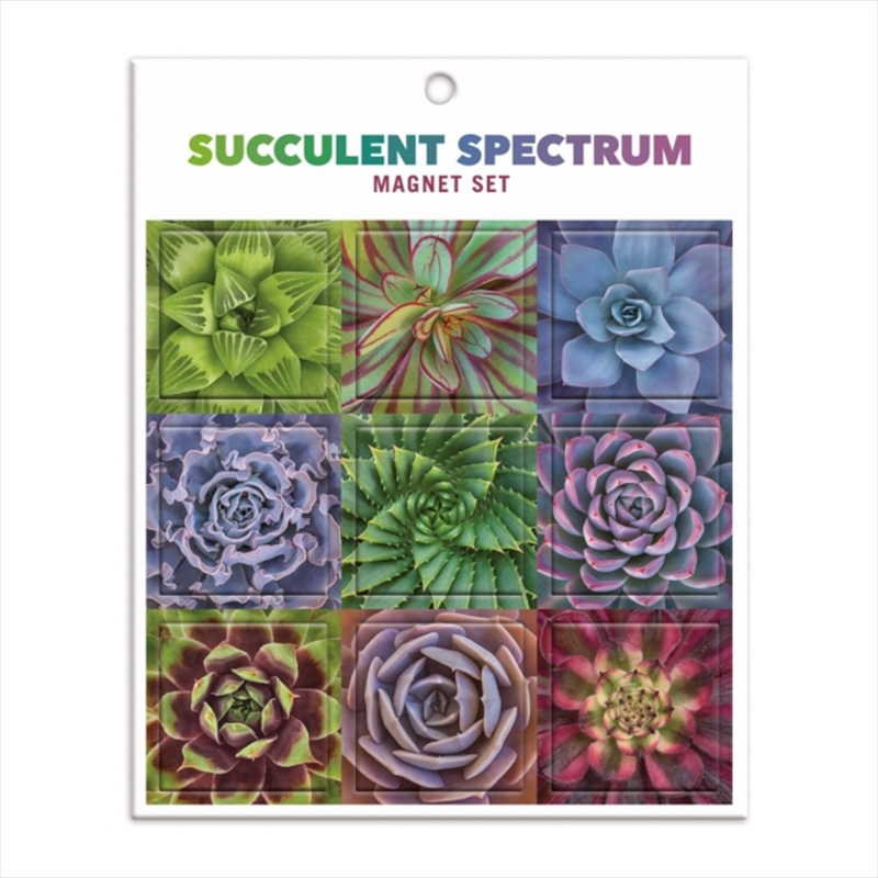 Succulent Spectrum Magnet Set/Product Detail/Stationery
