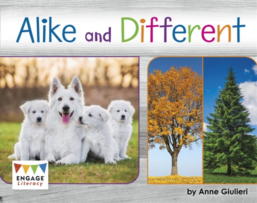 Alike & Different/Product Detail/Kids Educational
