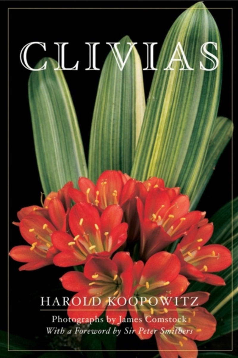 Clivias/Product Detail/Gardening