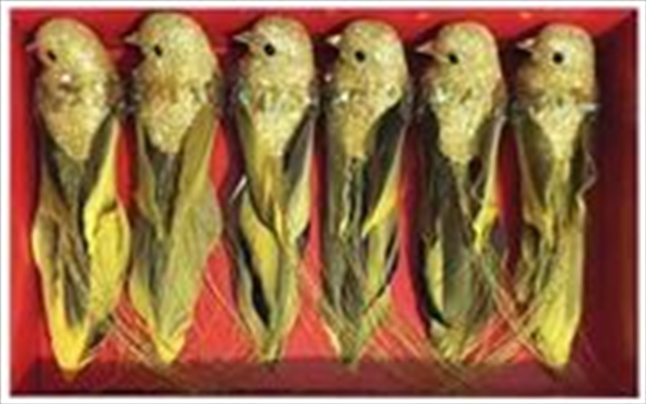 Christmas Clip 6Pk Bird Dec Gold/Product Detail/Decor