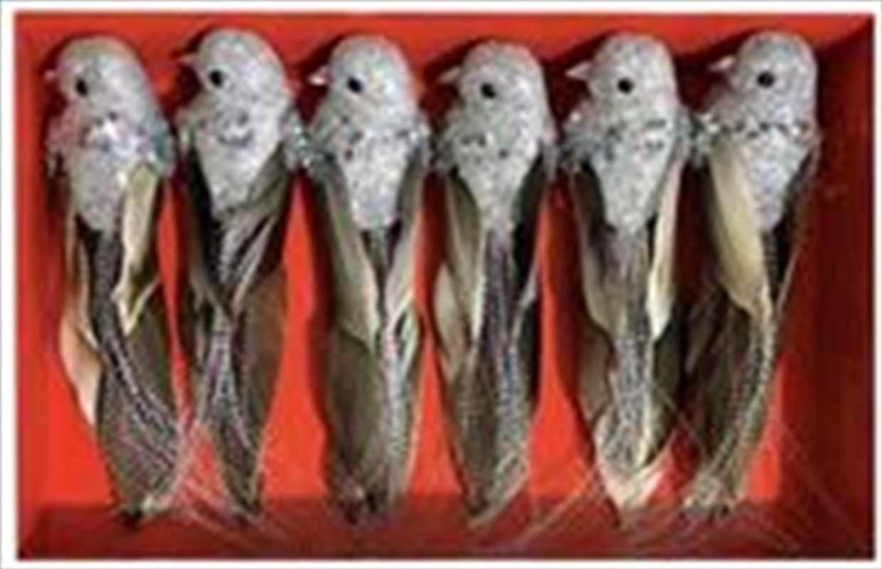 Christmas Clip 6Pk Bird Dec Silver/Product Detail/Decor
